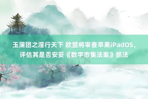 玉蒲团之淫行天下 欧盟将审查苹果iPadOS，评估其是否安妥《数字市集法案》抓法