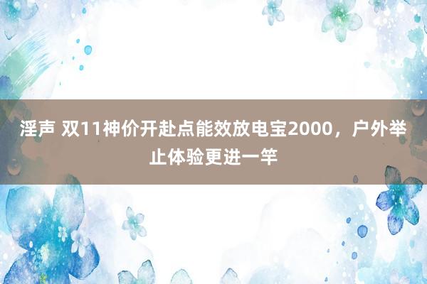 淫声 双11神价开赴点能效放电宝2000，户外举止体验更进一竿