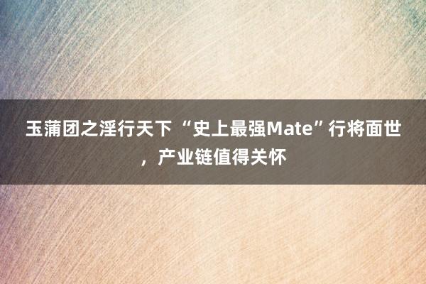 玉蒲团之淫行天下 “史上最强Mate”行将面世，产业链值得关怀