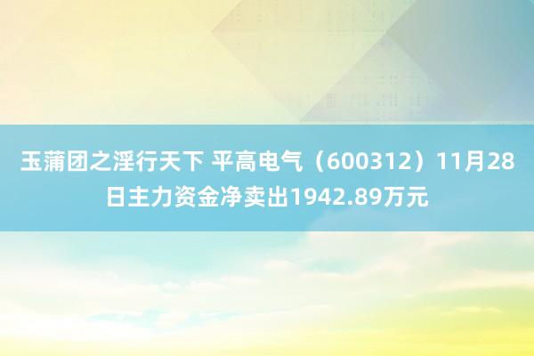 玉蒲团之淫行天下 平高电气（600312）11月28日主力资金净卖出1942.89万元