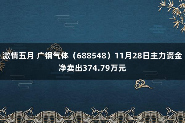 激情五月 广钢气体（688548）11月28日主力资金净卖出374.79万元