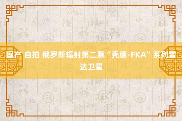 国产 自拍 俄罗斯辐射第二颗“秃鹰-FKA”系列雷达卫星