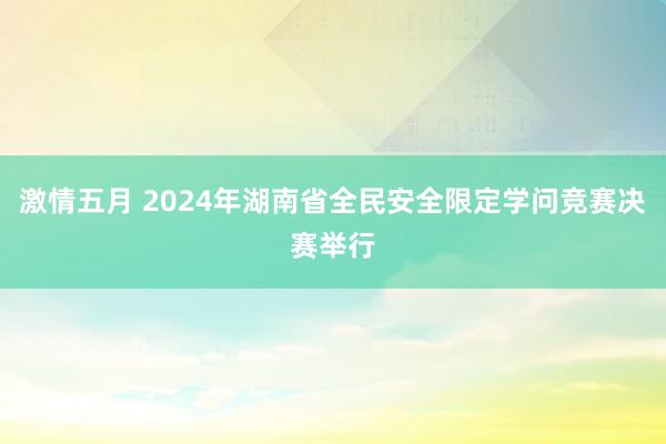 激情五月 2024年湖南省全民安全限定学问竞赛决赛举行