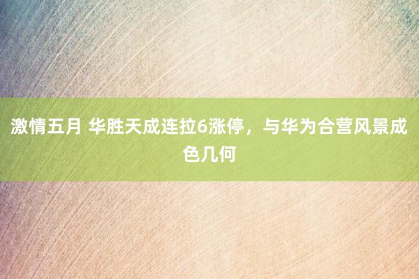 激情五月 华胜天成连拉6涨停，与华为合营风景成色几何