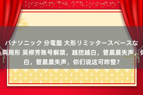 パナソニック 分電盤 大形リミッタースペースなし 露出・半埋込両用形 吴柳芳账号解禁，越挖越白，管晨晨失声，你们说这可咋整？