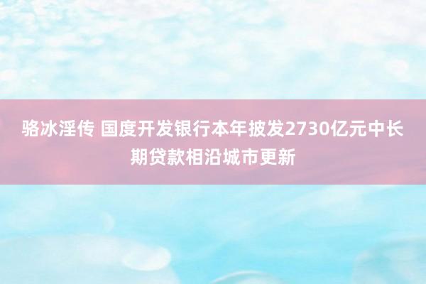 骆冰淫传 国度开发银行本年披发2730亿元中长期贷款相沿城市更新