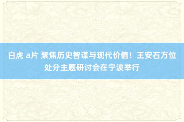 白虎 a片 聚焦历史智谋与现代价值！王安石方位处分主题研讨会在宁波举行