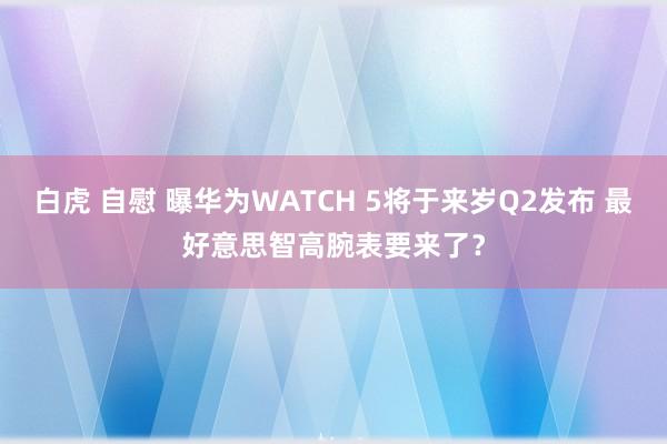 白虎 自慰 曝华为WATCH 5将于来岁Q2发布 最好意思智高腕表要来了？