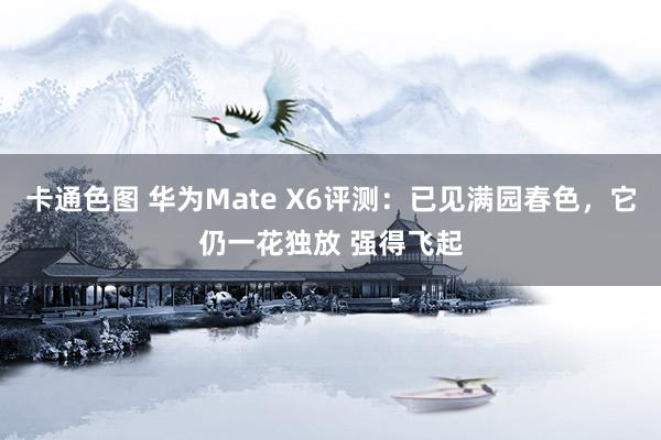 卡通色图 华为Mate X6评测：已见满园春色，它仍一花独放 强得飞起