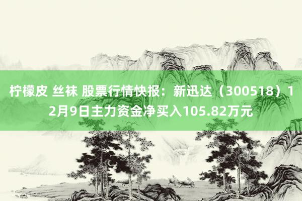 柠檬皮 丝袜 股票行情快报：新迅达（300518）12月9日主力资金净买入105.82万元