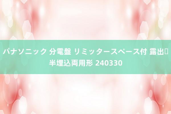 パナソニック 分電盤 リミッタースペース付 露出・半埋込両用形 240330