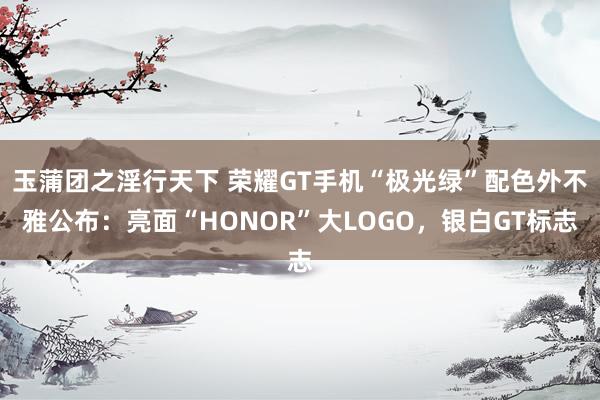 玉蒲团之淫行天下 荣耀GT手机“极光绿”配色外不雅公布：亮面“HONOR”大LOGO，银白GT标志