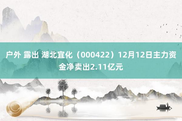 户外 露出 湖北宜化（000422）12月12日主力资金净卖出2.11亿元