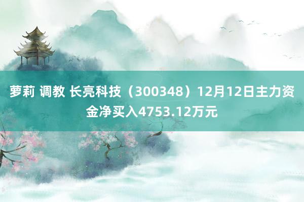 萝莉 调教 长亮科技（300348）12月12日主力资金净买入4753.12万元