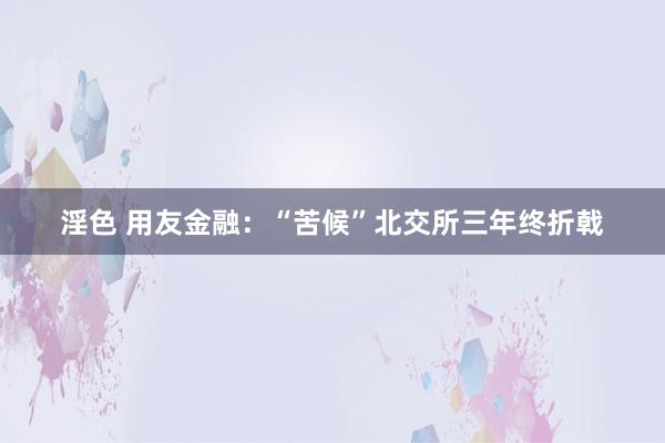 淫色 用友金融：“苦候”北交所三年终折戟