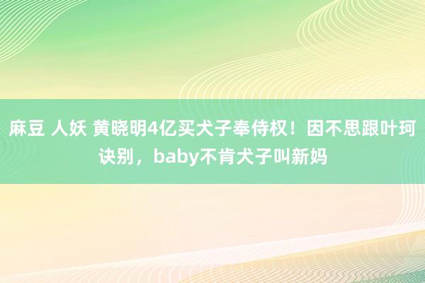 麻豆 人妖 黄晓明4亿买犬子奉侍权！因不思跟叶珂诀别，baby不肯犬子叫新妈