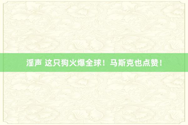 淫声 这只狗火爆全球！马斯克也点赞！