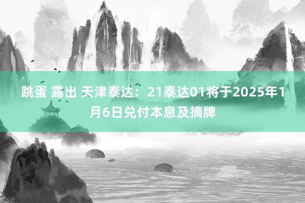 跳蛋 露出 天津泰达：21泰达01将于2025年1月6日兑付本息及摘牌