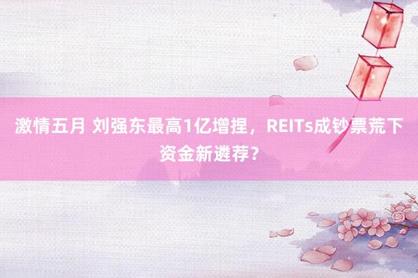 激情五月 刘强东最高1亿增捏，REITs成钞票荒下资金新遴荐？