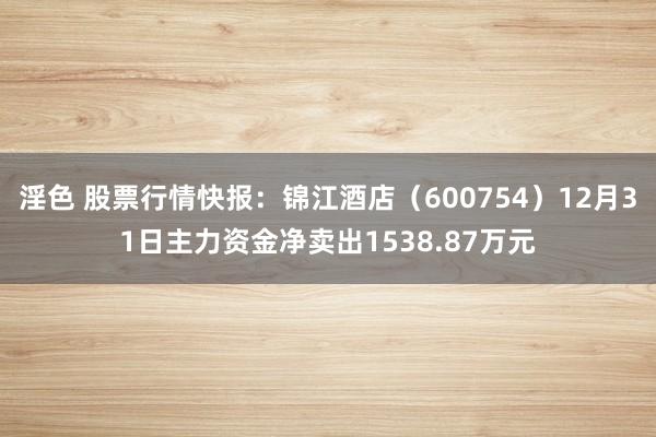 淫色 股票行情快报：锦江酒店（600754）12月31日主力资金净卖出1538.87万元