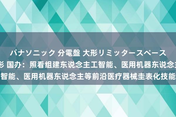 パナソニック 分電盤 大形リミッタースペース付 露出・半埋込両用形 国办：照看组建东说念主工智能、医用机器东说念主等前沿医疗器械圭表化技能组织