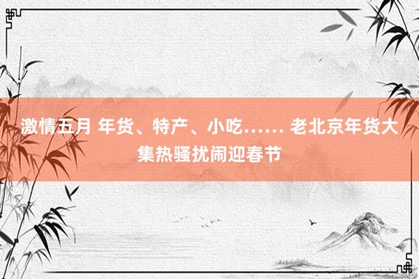 激情五月 年货、特产、小吃…… 老北京年货大集热骚扰闹迎春节