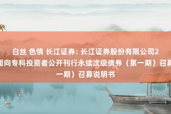 白丝 色情 长江证券: 长江证券股份有限公司2025年面向专科投资者公开刊行永续次级债券（第一期）召募说明书