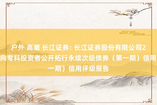 户外 高潮 长江证券: 长江证券股份有限公司2025年面向专科投资者公开拓行永续次级债券（第一期）信用评级报告