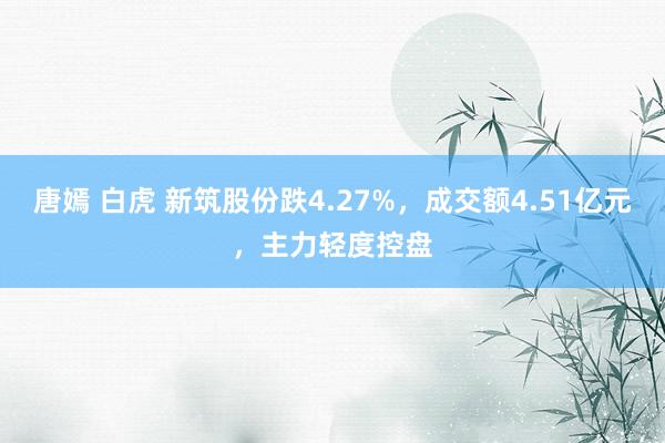 唐嫣 白虎 新筑股份跌4.27%，成交额4.51亿元，主力轻度控盘