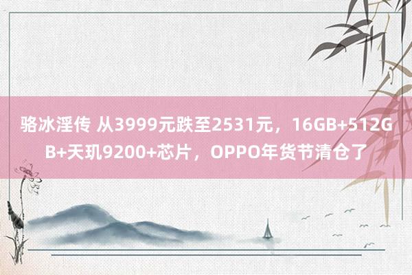 骆冰淫传 从3999元跌至2531元，16GB+512GB+天玑9200+芯片，OPPO年货节清仓了