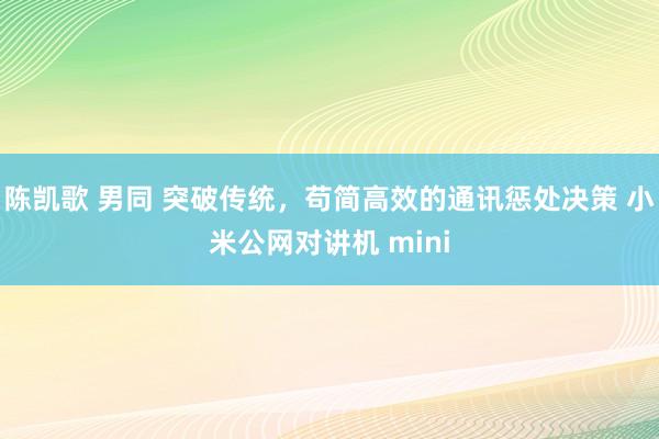 陈凯歌 男同 突破传统，苟简高效的通讯惩处决策 小米公网对讲机 mini