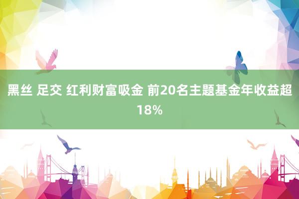 黑丝 足交 红利财富吸金 前20名主题基金年收益超18%