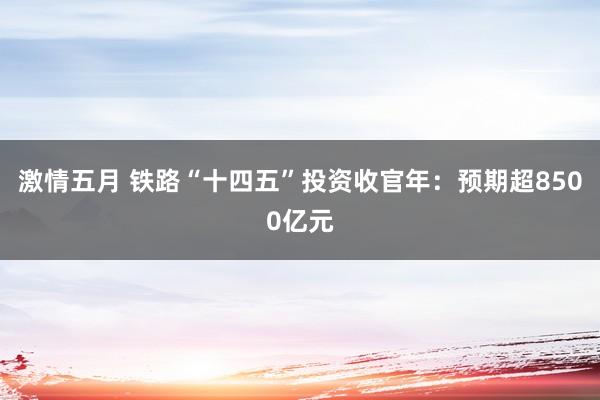 激情五月 铁路“十四五”投资收官年：预期超8500亿元