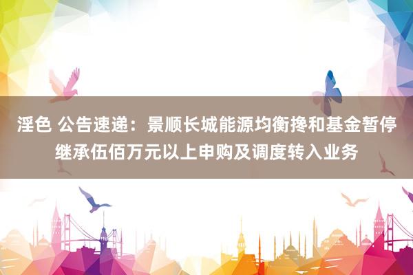 淫色 公告速递：景顺长城能源均衡搀和基金暂停继承伍佰万元以上申购及调度转入业务