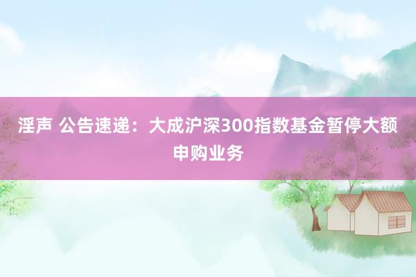 淫声 公告速递：大成沪深300指数基金暂停大额申购业务