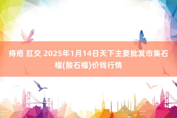 痔疮 肛交 2025年1月14日天下主要批发市集石榴(酸石榴)价钱行情