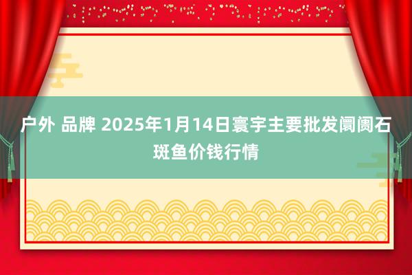 户外 品牌 2025年1月14日寰宇主要批发阛阓石斑鱼价钱行情