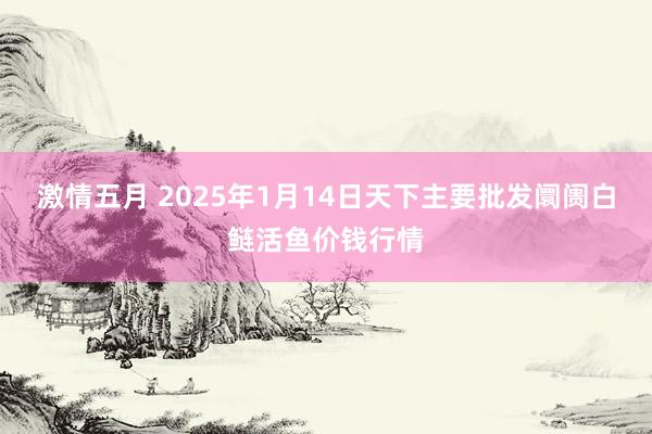 激情五月 2025年1月14日天下主要批发阛阓白鲢活鱼价钱行情