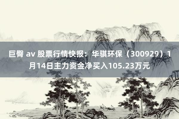 巨臀 av 股票行情快报：华骐环保（300929）1月14日主力资金净买入105.23万元