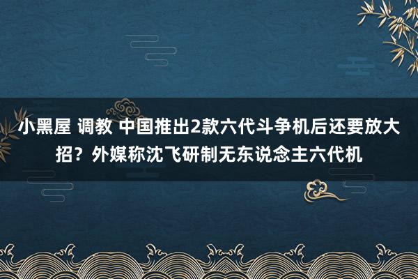 小黑屋 调教 中国推出2款六代斗争机后还要放大招？外媒称沈飞研制无东说念主六代机